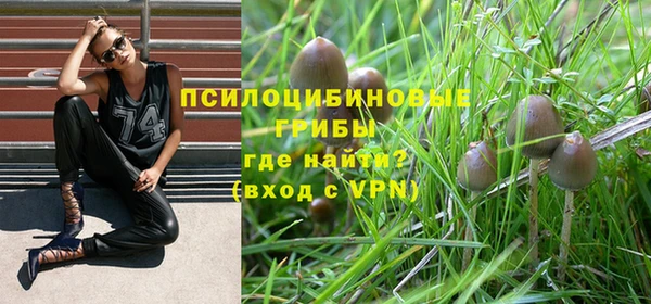 Альфа ПВП Алексеевка