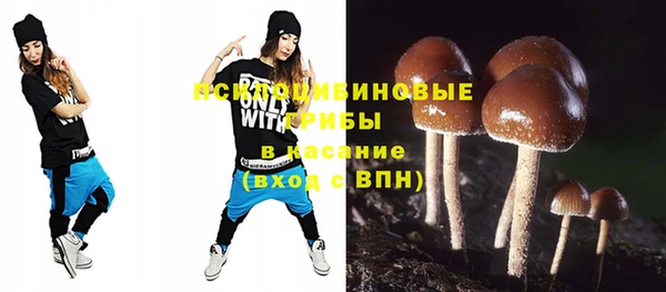 молекула духа Алзамай