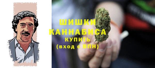 молекула духа Алзамай
