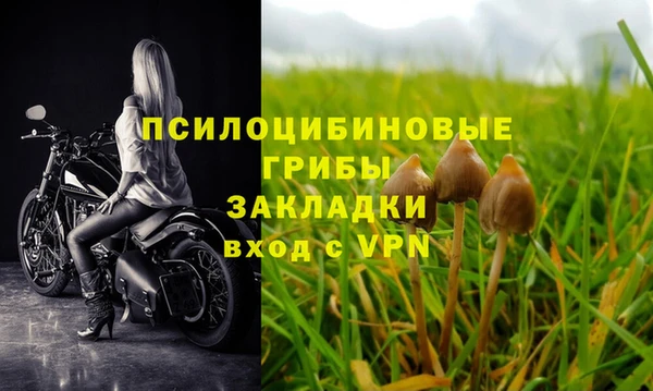 молекула духа Алзамай